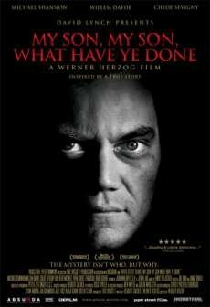 Мой сын, мой сын, что ты наделал (2009) Мой сын, мой сын, что ты наделал (2009)
