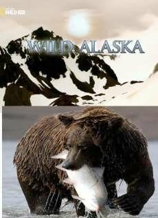    / Wild Alaska (2011) HDTV 1080i